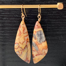 Load image into Gallery viewer, CRAZY LACE AGATE EARRINGS One of a kind!